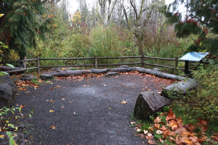 First overlook on compacted gravel with railings and interpretive display – view of Mt. Scott Creek